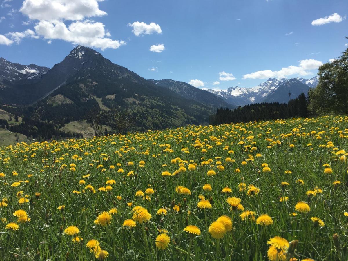 Bergfex Ifenblick Mit Sommer-Bergbahnticket Oberstdorf Exterior foto